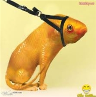V.A - Beat Rap style...!
