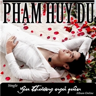 Yêu Thương Ngủ Quên (Single 2012)