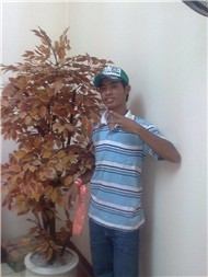 Quang Lê Greatest Hits