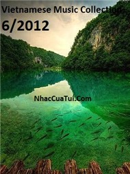 Vietnamese Music Collection (06/2012)