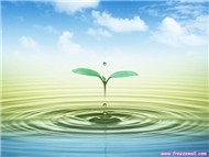 Nhạc nhẹ chọn lọc