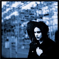 Blunderbuss (Japanese Edition 2012)