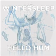 Hello Hum