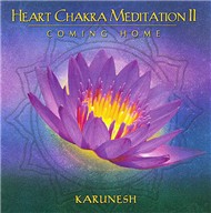 Heart Chakra Meditation II Coming Home