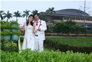 hoanghoan113