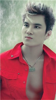 Album - Lâm Chấn Huy