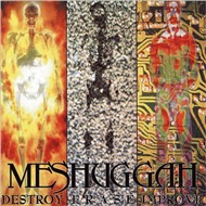 Destroy Erase Improve