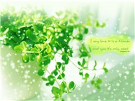 Những tình khúc ngọt ngào