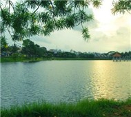 Bảo Lộc! Quê Hương Tôi