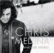 What Are Words (2011)