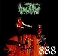 888 (2011)