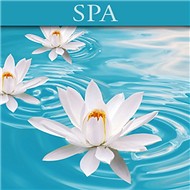 Spa (2008)