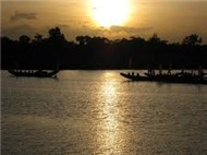 Mùa Thu chết