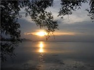 Giọt lệ sầu