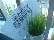 Nhạc Âu, Mĩ...Shint =)*