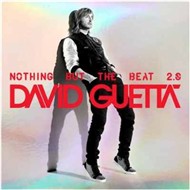 Nothing But The Beat 2.0 (2012)