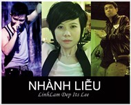 Nhành Liễu (Single 2012)