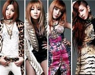 2NE1 Collection (2011)