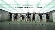 T-ara Collection ( 2011+2012)