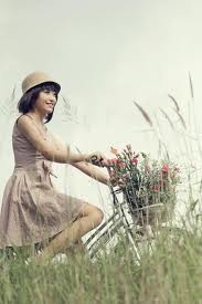 Lương Minh Trang Collection (2012)