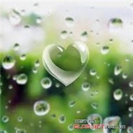 Cuộc tình trong mưa