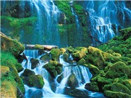 Những b&agrave;i h&aacute;t quốc tế hay nhất