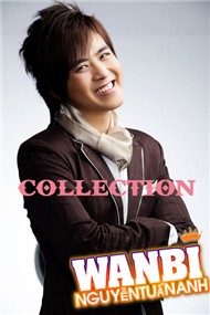 Wanbi Tuấn Anh Collection (2012)
