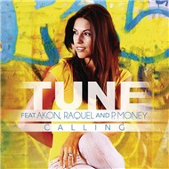 Calling (Remixes EP 2012)
