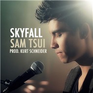 Skyfall (Single 2012)