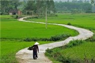Nhạc Trữ Tình
