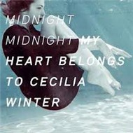 Midnight Midnight (2012)