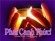 MÙA TRÔNG ĐỢI