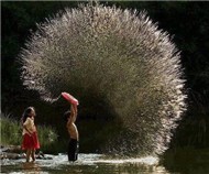 Nhạc ngoại ^^!