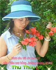 Những bài tân cổ tui thích