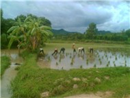 Miền Trung thương nhớ