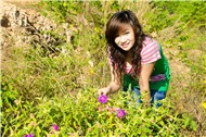 Gấu Kute