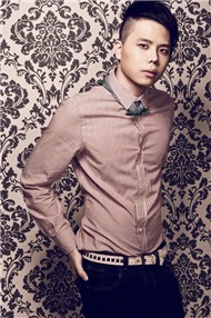Trịnh Thăng Bình Collection (2012)