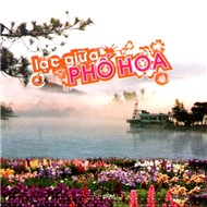 Lạc Giữa Phố Hoa