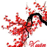 Nhạc Xuân (Remix 2013)
