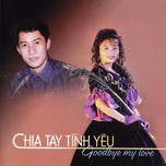 Chia Tay Tình Yêu (2012)