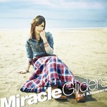 Miracle Gliders (Single 2013)