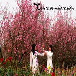 Xôn Xao Mùa Xuân (2013)