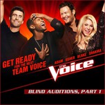 Blind Auditions, Part 1 (The Voice US Season 4 - 2013)