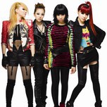 2NE1 Collection (2013)