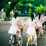Tuổi Học Trò Một Thời Để Nhớ (2013)