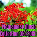 Vietnamese Music Collection (05/2013)