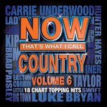 Now That's What I Call Country (Vol. 6 - 2013)