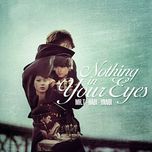 Nothing In Your Eyes (2011)