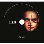 We Are P.A.K (2012)