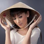 Tuyển Tập Ca Khúc Hay Nhất Của Phi Nhung (2013)